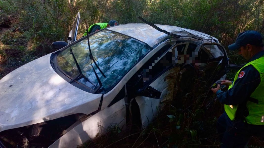 Condutor morre ao bater carro contra árvore na BR 280