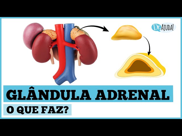 Quando suspeitar de problema na adrenal?