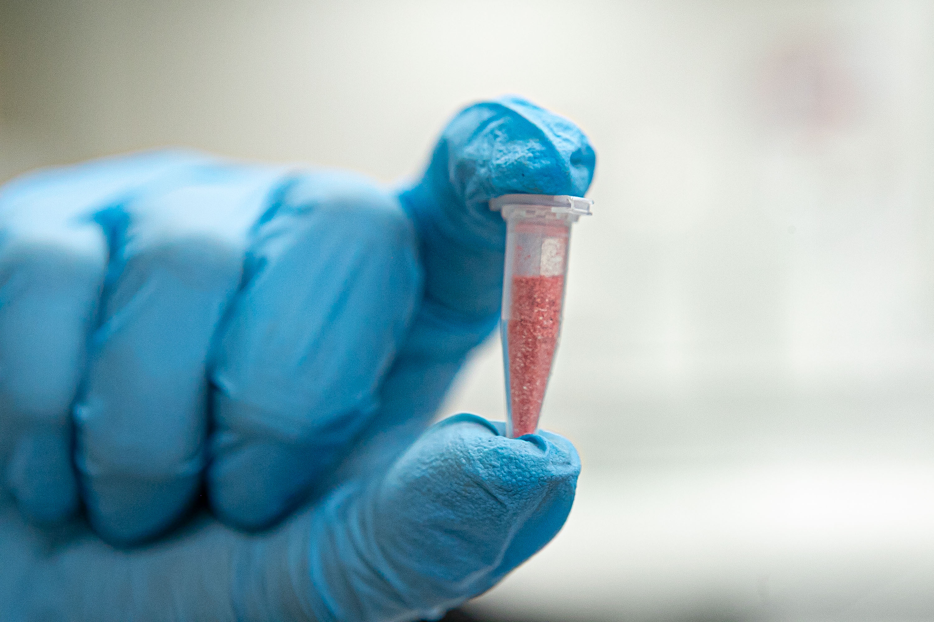 Alerta de segurança: Polícia Científica identifica cocaína rosa após apreensão realizada pela PCPR