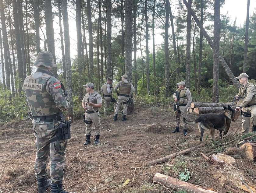 Polícia Militar Ambiental fiscaliza área que teve madeira exótica furtada